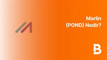 Marlin (POND) Nedir? Yüksek Performanslı Blockchain