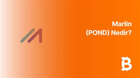 Marlin (POND) Nedir? Yüksek Performanslı Blockchain