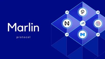 Marlin (POND) Yüksek Performanslı Blockchain